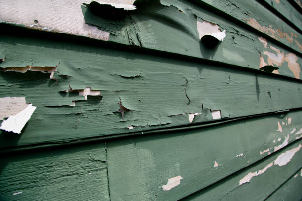 Best Property Management Cleanouts  in Wailuku, HI
